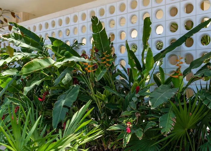Tiki Tiki Hotel